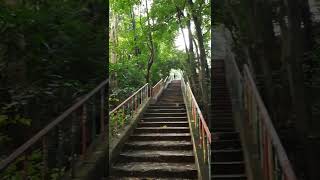 Chittagong University
