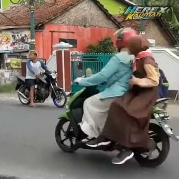 story wa tiger gedung