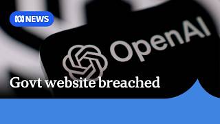 Government launches taskforce in response to OpenAI Medicare hack | ABC NEWS