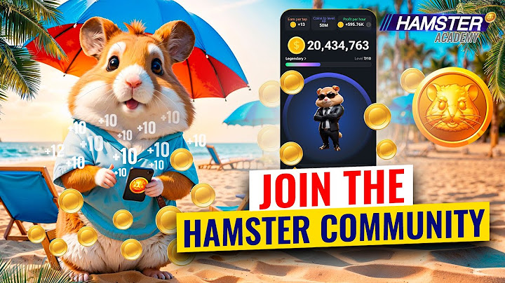 Hamster Kombat for New Players: Easy Start Guide ⚡️ Hamster Academy