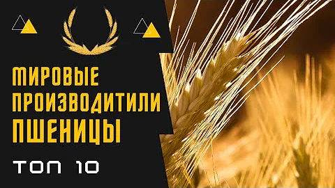 ПРОИЗВОДИТЕЛИ ПШЕНИЦЫ В МИРЕ