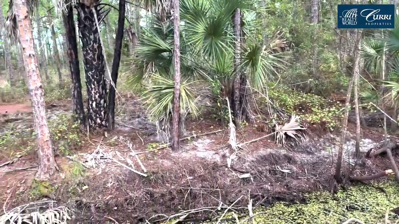 Agricultural homestead in Fellsmere area land development activities.