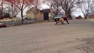 Spring Break Longboarding // Original Arbiter // Comet Skates