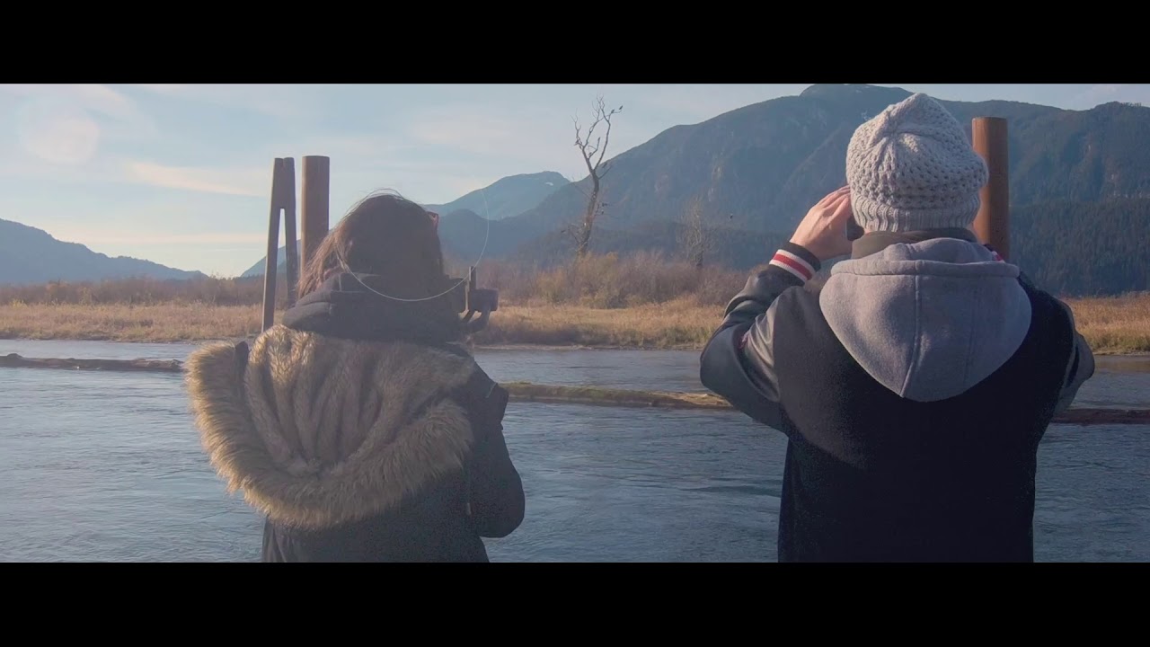 Harrison Eco Tours YouTube