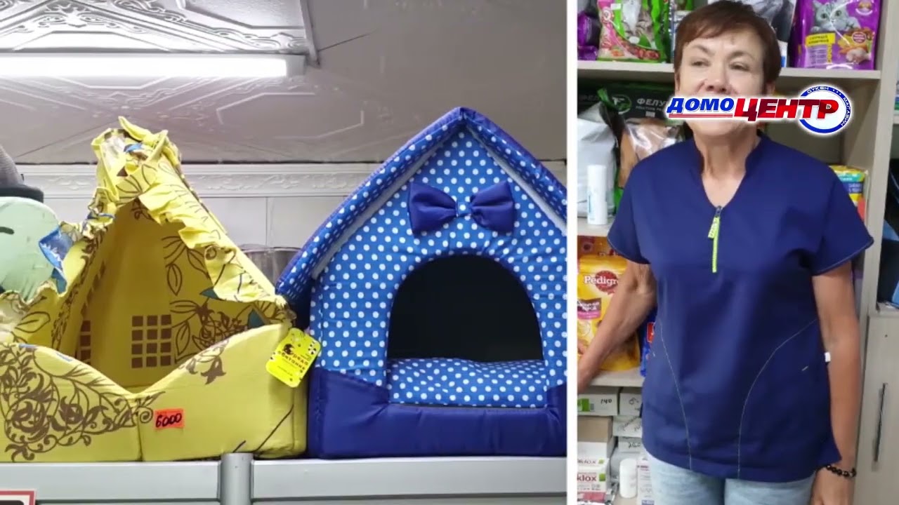 24 часа от 22.02.22_Ветеринарная клиника Vet Express