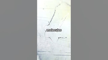 The Geometry of Snowflakes