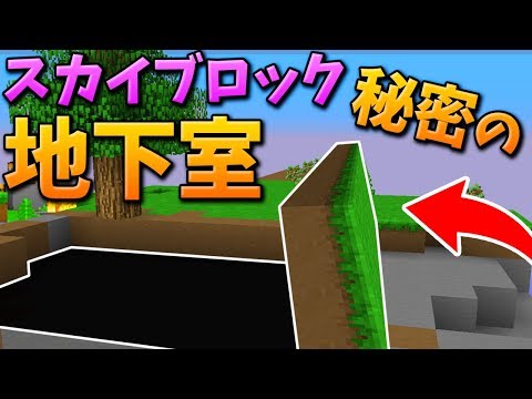 トム と マルク の 実況 チャンネル スカイ ブロック