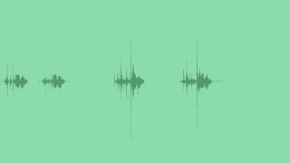 Keychain Rattling - Dry & Wet Sound Effects