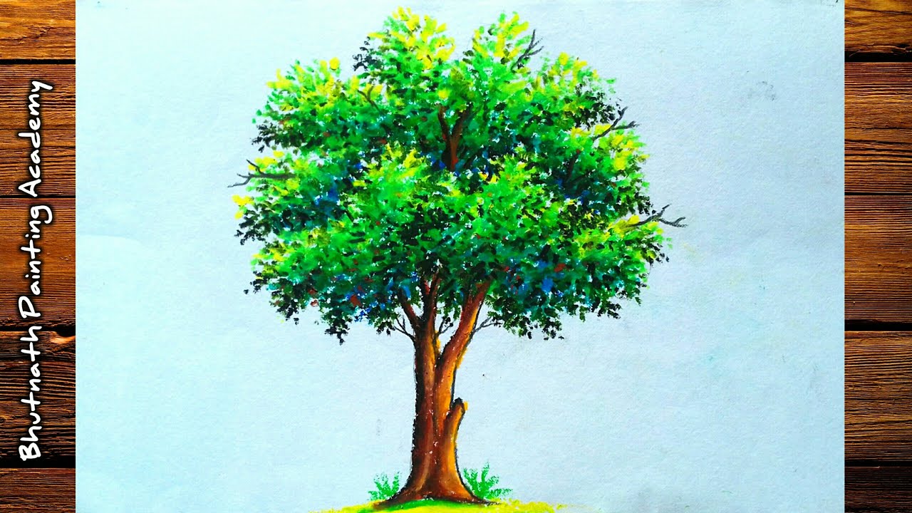 tree drawing oil pastel color - YouTube