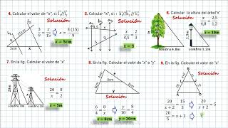 TEOREMA DE TALES (PROBLEMAS RESUELTOS)