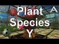 How to use plant species y