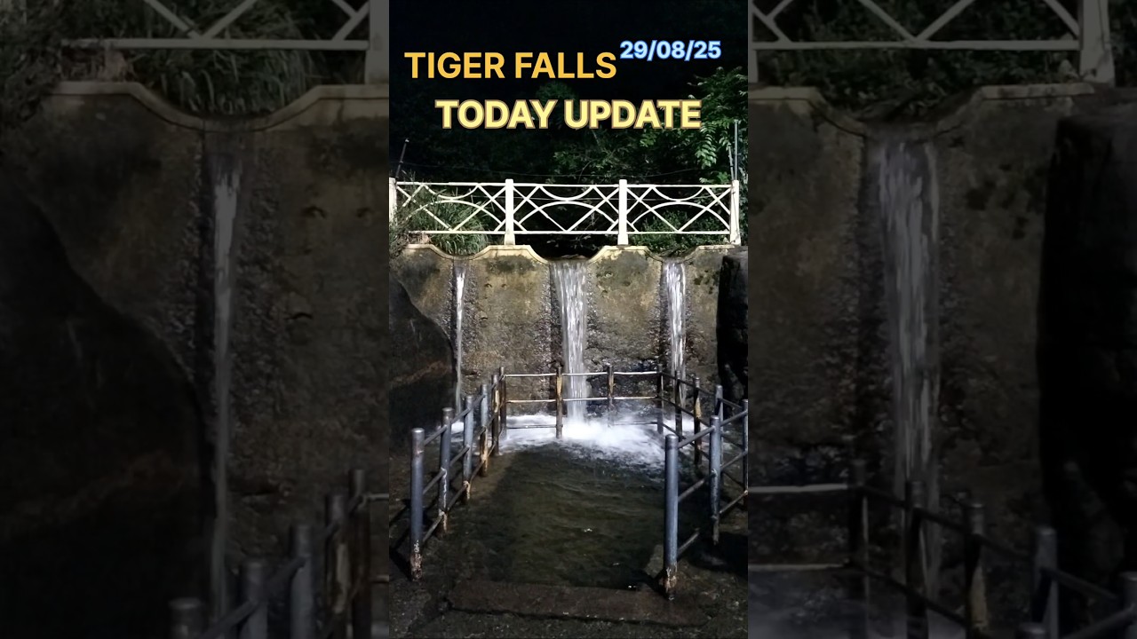 kutralam tiger falls today update