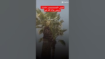 القرآن الكريم #viral #اكسبلور #foryou #nature #explore #ترند #motivation #تيك_توك #movie #usa
