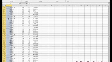 自動流水號VBA程式EXCEL函數與VBA自動化 (完整影音請搜尋吳老師)