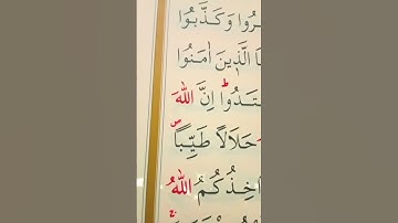 سورة المائدة الأية 87 إلى 88 القارئ سعد الغامدي
