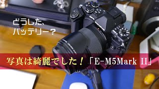 【E-M5Mark2インプレッション】写真は綺麗でした・・ハイレゾショット私には十分です！