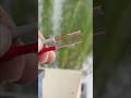 How to connect solid and stranded electrical wires #electrician #tips #tricks
