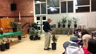 Download Lagu Tom Nuccio on Camellia sasanqua - Part I MP3