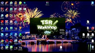 Установка TSR Workshop