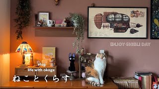 (cat & life vlog) Ghibli-inspired Totoro meals to enjoy at home for breakfast, lunch, and dinner