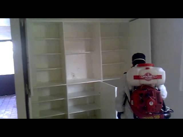 Contiene Comprensión Caracterizar Fumigacion Casa Habitacion - YouTube