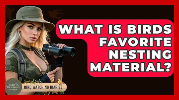 What Is Birds Favorite Nesting Material? - Bird Watching Diaries