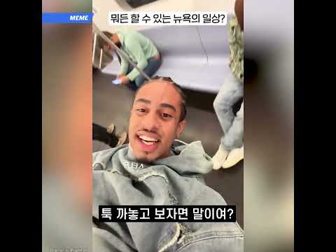 오늘도 평화로운 뉴욕의 일상