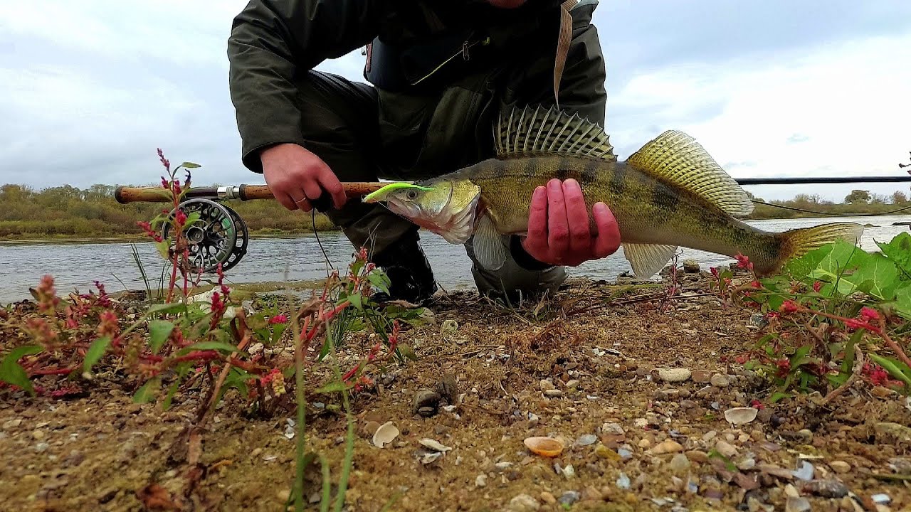 Ловля нахлыстом на глубине судака и щуки. Техника проводки стримера у дна. - YouTube