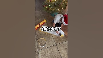 Huge toblerone bar! #shorts #music #hiphop #chocolate #huge