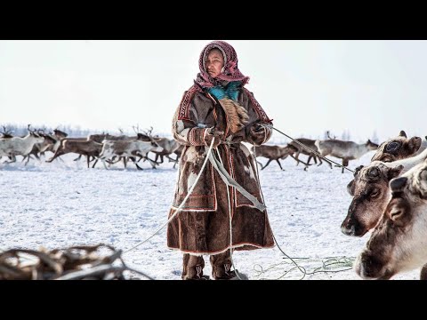 10 причин полюбить Ямал | Факты
