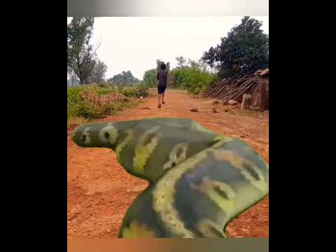Anaconda Snake video || #anaconda #jurassicwo #python #jurassicworldevolution2 #bigsnake #shortvideo