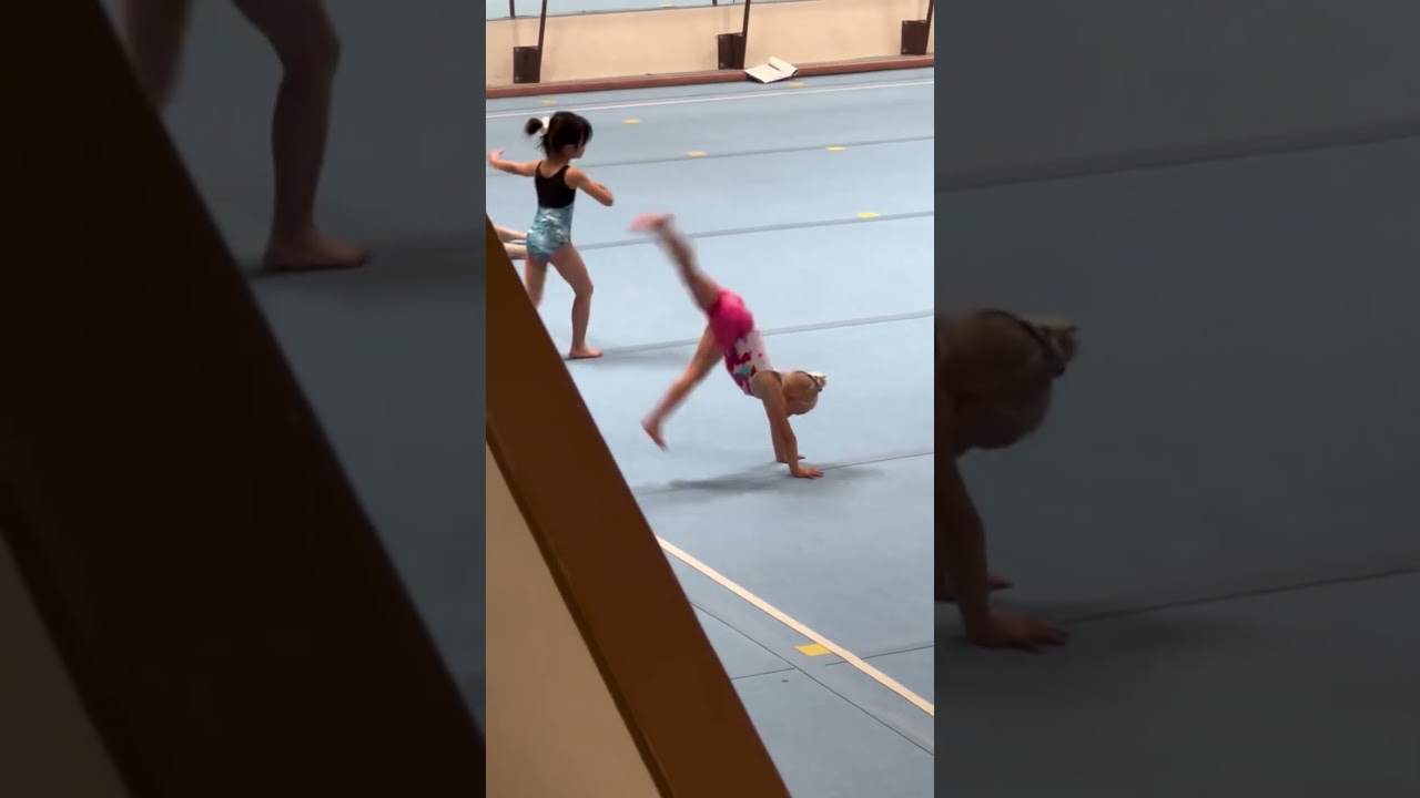 #gymnasticsleotard