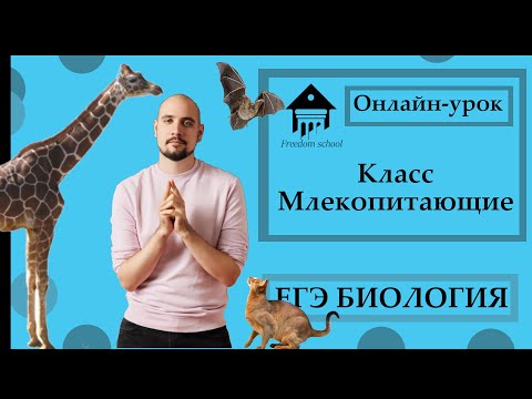 Класс МЛЕКОПИТАЮЩИЕ для ЕГЭ 2023 |ЕГЭ БИОЛОГИЯ|Freedom|