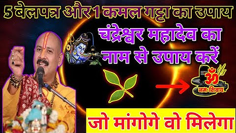 5 बेलपत्र 1 कमल गट्टा का उपाय करें  Purnima ke upay pradeep mishra ji | sawan ke upay