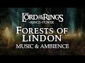 Lord Of The Rings Elven Realm Of Lindon Music Ambience Rings Of Power With ASMR Weekly Lord Of The Rings Elven Realm Of Lindon Music Ambience Rings Of Power With ASMR Weekly