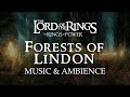 Lord of the rings  elven realm of lindon music  ambience rings of power with asmr weekly