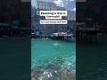 Must-Visit Beach Club in Sorrento - Bookmark to Plan Your Next Trip