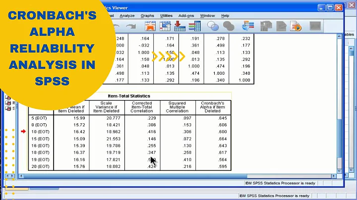 Cronbach's Alpha Reliability Analysis in SPSS - Results Interpratation