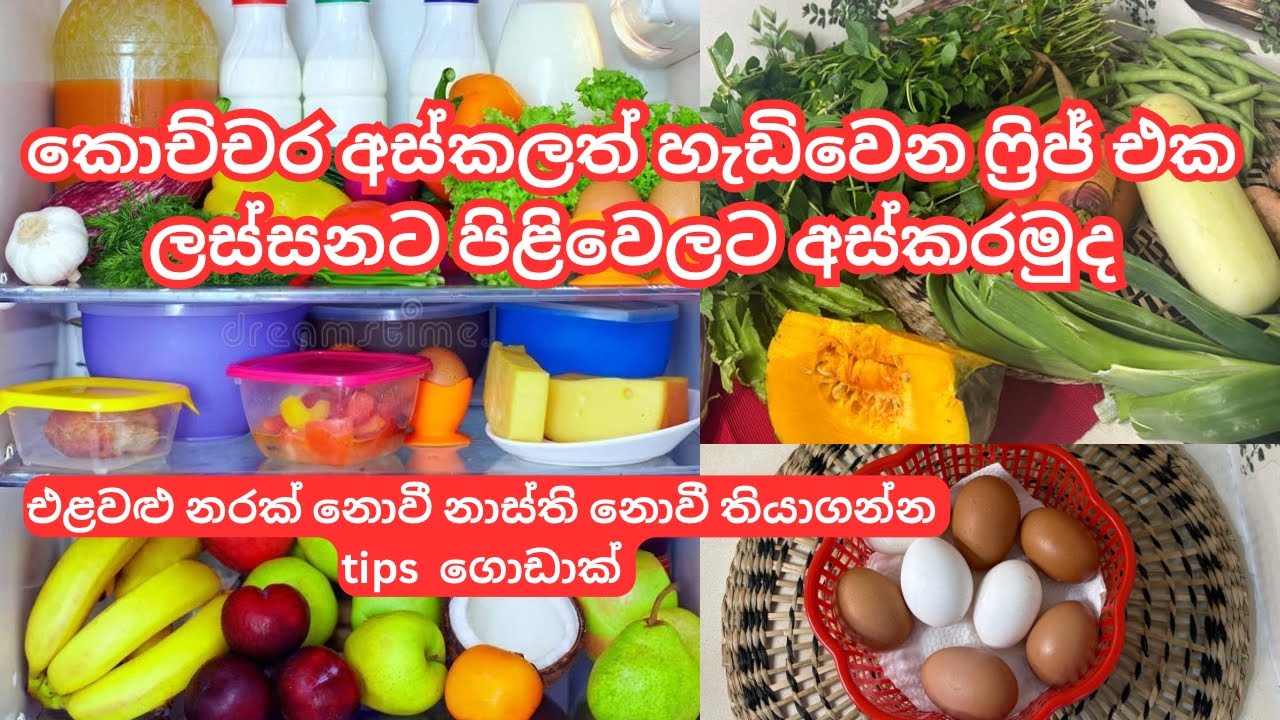ෆ්‍රිජ් එක ලස්සනට තියාගන්න මං කරන දේවල්/How to arrange a fridge/Tips to arrange a fridge properly 🍅🫑