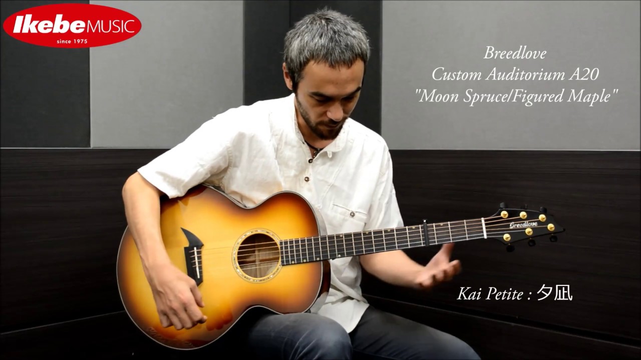 池部楽器店】Breedlove Custom Auditorium A20 