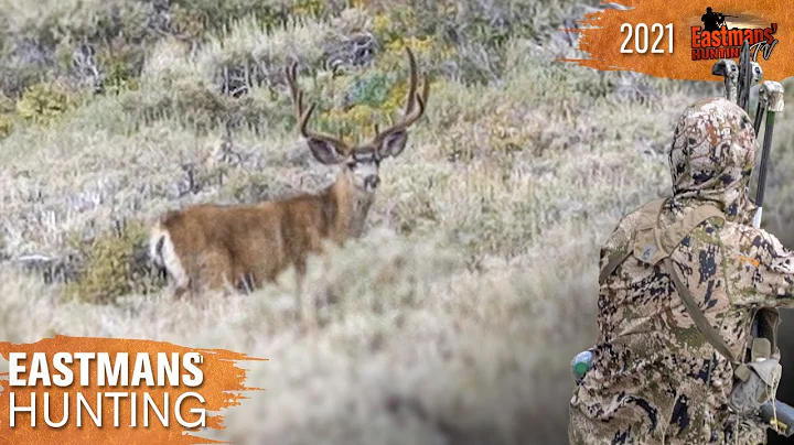 Brian Barney Bow Hunts Desert Bucks | Eastmans' Hunting TV