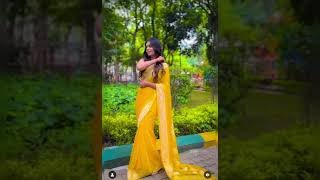 Beautiful Saree Pose