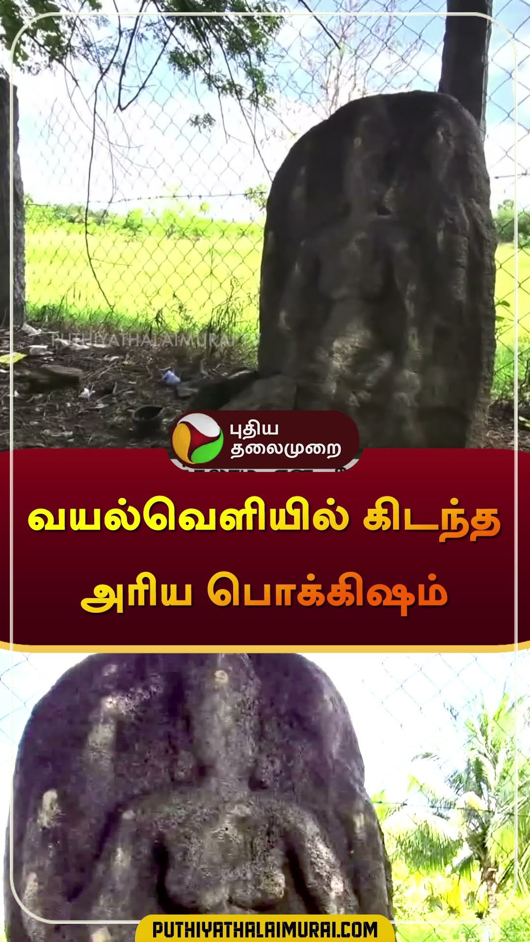 வயல்வெளியில் கிடந்த அரிய பொக்கிஷம் | #karur | #shorts