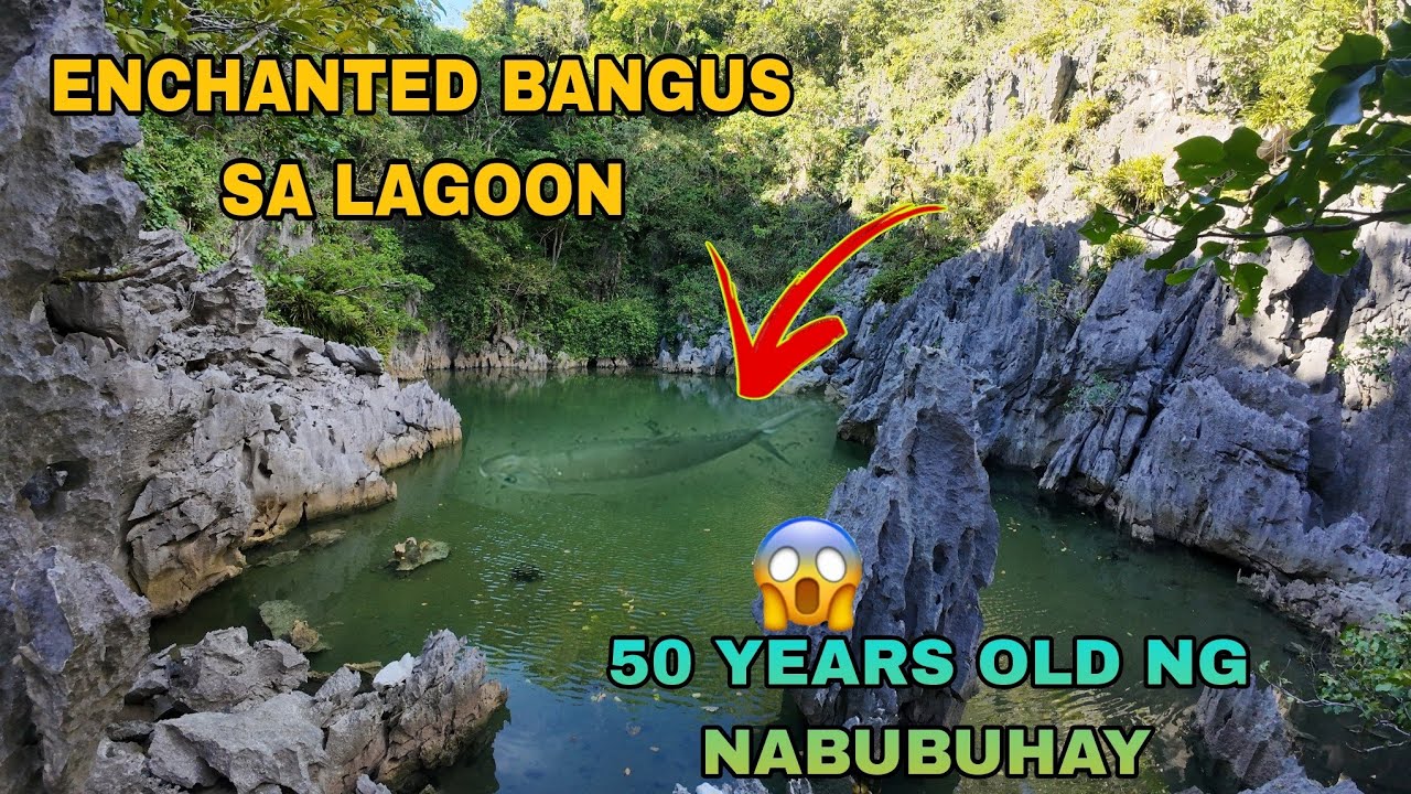 ISANG BUONG PAMILYA ANG KINUHA ANG BUHAY NG BANGUS|| MISTERYOSONG LAGOON
