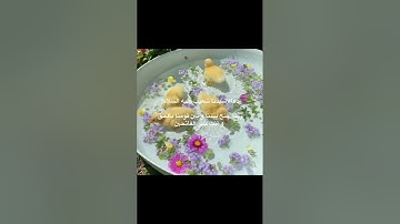 أدعية الأنبياء ٧/٩🎀سورة السجدة { ٢١ } للقارئ #عبدالرحمن_مسعد