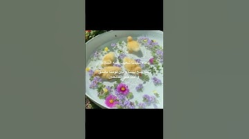 أدعية الأنبياء ٧/٩🎀سورة السجدة { ٢١ } للقارئ #عبدالرحمن_مسعد