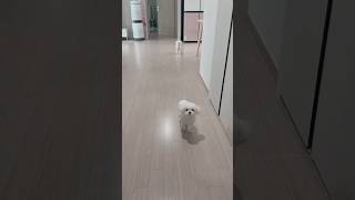 엄마 제주도 간단 소식에 얼음