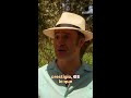 Álvaro le pide a Agustín que le venda la hacienda #CuandoMeEnamoro #NovelasyNovelas