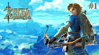 El despertar de Link | The legend of Zelda BOTW | Cap.1