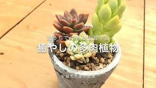 おうちでできる生涯学習「癒やしの多肉植物」